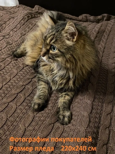 Плед 150х200 покрывало на диван кровать вязаный детский фото 7