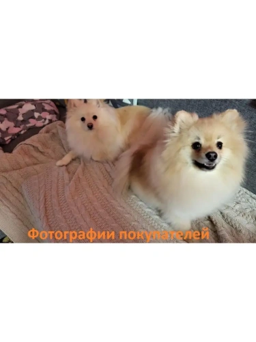 Плед 220x240 на кровать диван покрывало вязаный хлопок 100% фото 7