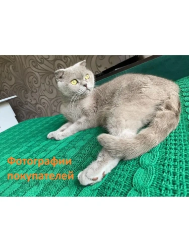 Плед 120х220 покрывало на диван кровать детский одеяло фото 8